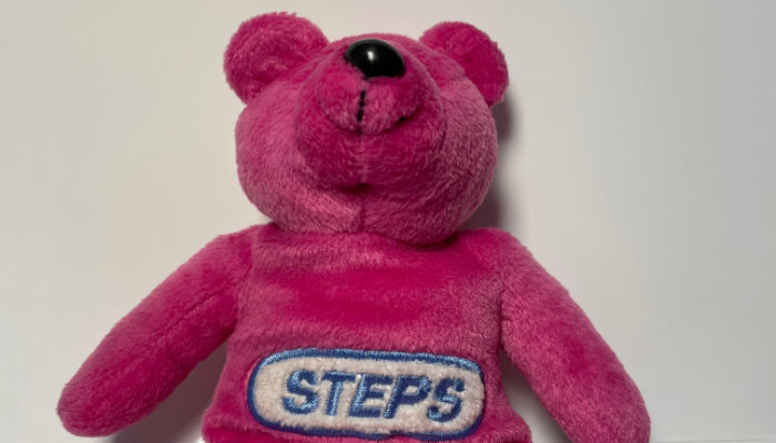 Steps Bean Bears