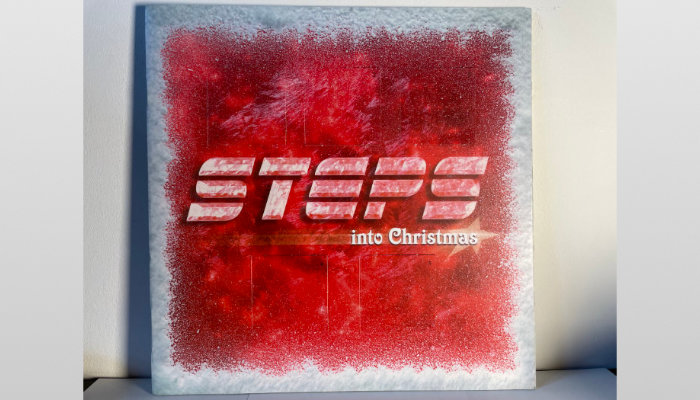 Steps Tour Programme